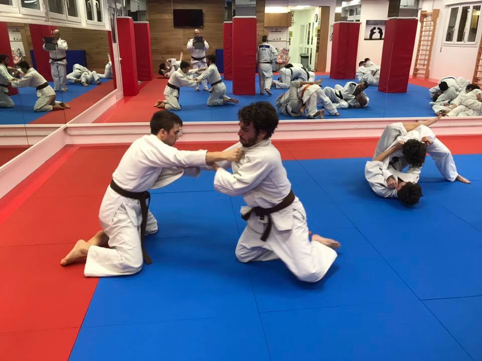 san mamolo judo