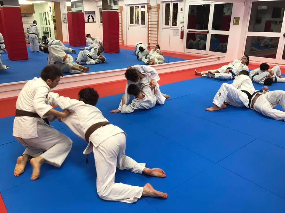 san mamolo judo